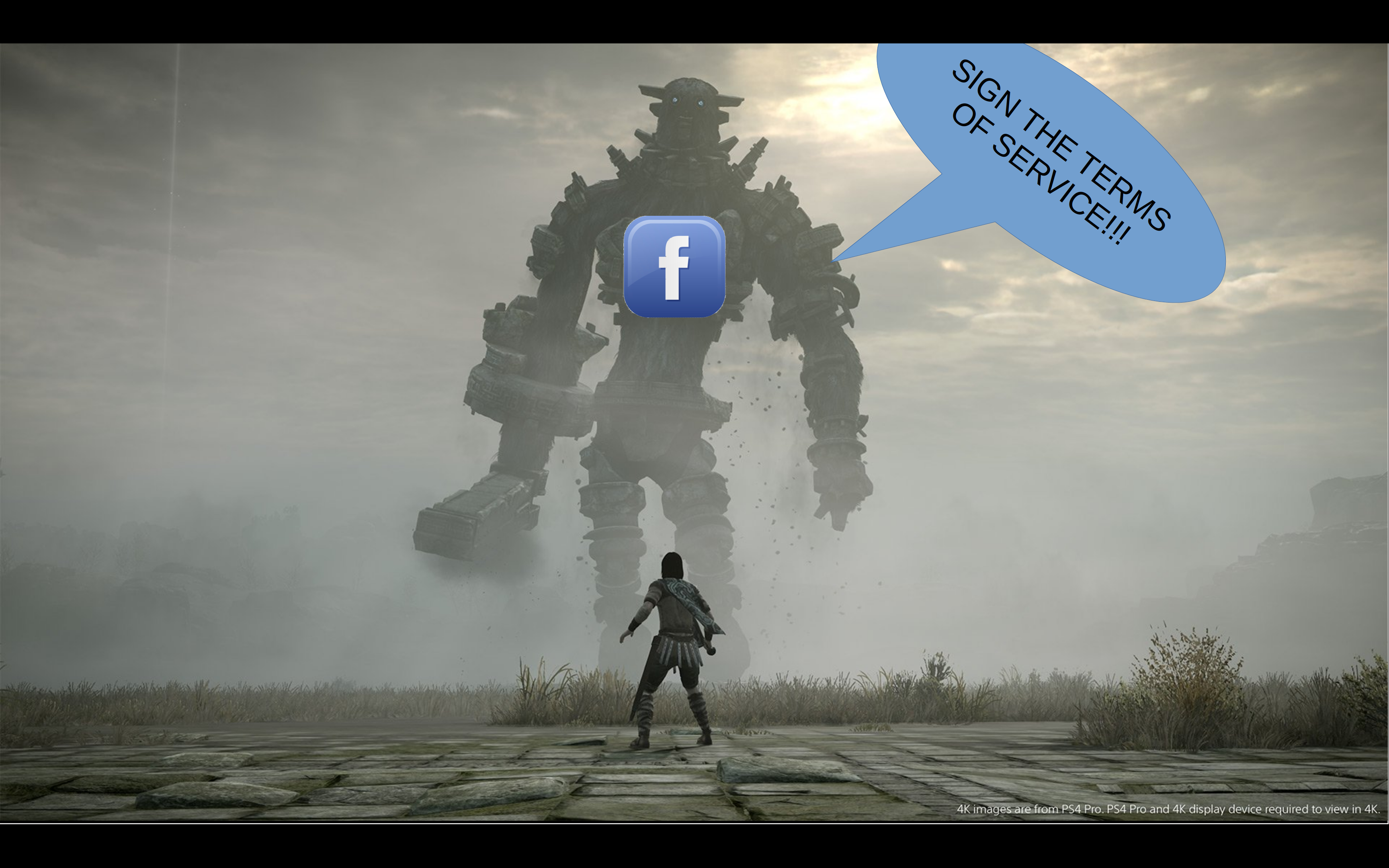 In the foreground, there is a small person looking up. In the background there is a large monster. The monster is labelled 'Facebook,' and the Facebook Monster is saying, 'Sign the Terms of Service!'